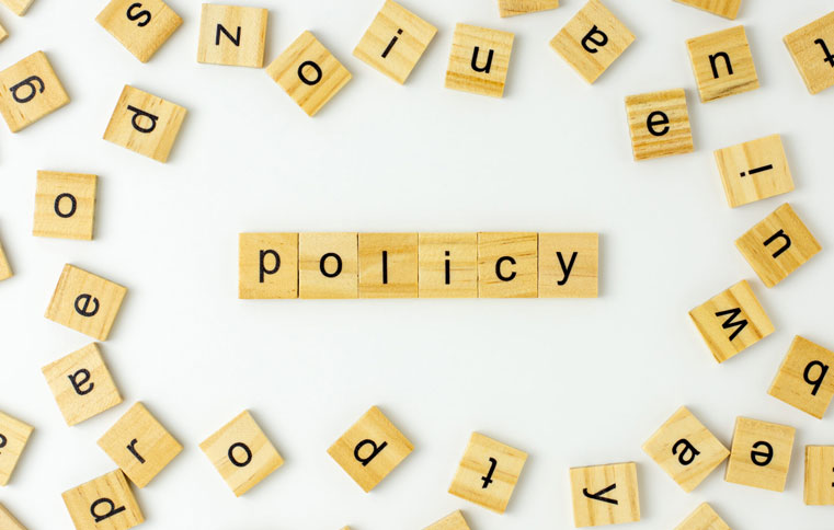 The What, Who, How and Why of Public Policy Making